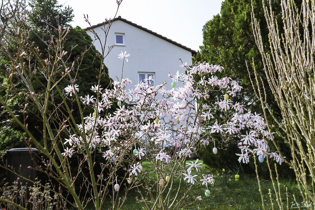 pforzheim 普福